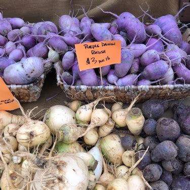 Food and wine presents a new network of food pros delivering the most cookable recipes and delicious ideas online. Purple Daikon Radish Information, Recipes and Facts