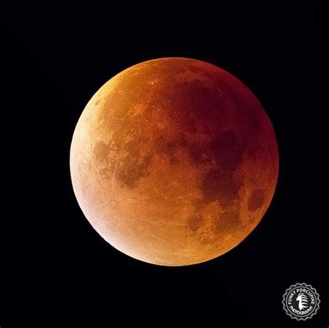 Compared to other full moons of 2021, the flower moon will have the nearest approach to earth, making it appear as the closest and largest full a total lunar eclipse occurs when the moon passes completely through the earth's dark shadow, or umbra. Pin by Diane Petra Le Bon McAdams on Miscilaneous | Blood ...