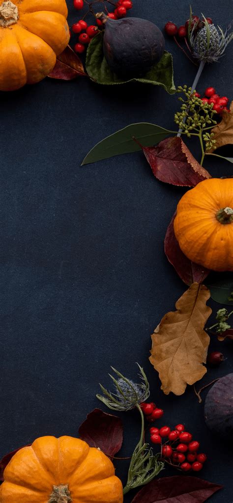 Multiple sizes available for all screen. Thanksgiving iPhone Wallpapers - Top Free Thanksgiving ...