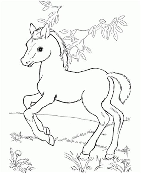 This coloring book has over 30 detailed designs and creates hours of coloring fun for the older color enthusiast! Detailed Horse Coloring Pages at GetColorings.com | Free ...