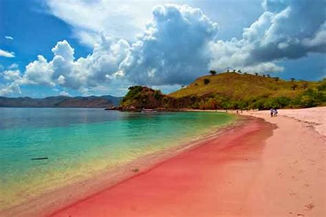 Pantai ini selalu ramai dikunjungi oleh para wisatawan domestik dan juga mancanegara. 12 Spot Foto Pantai Pink Lombok 🏖️ Lombok Timur (HTM, Rute)