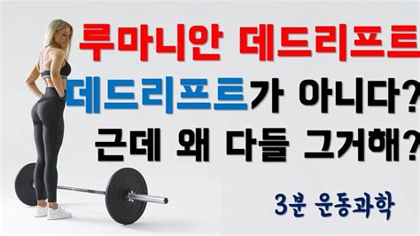 Nov 14, 2020 · 최근 컨테이너선 공급 부족 기사와 hmm, 대한해운의 주가 급등으로 인해 해운산업에 대해 관심이 많아졌습니다. 루마니안 데드리프트는 데드리프트가 아니다?? - YouTube