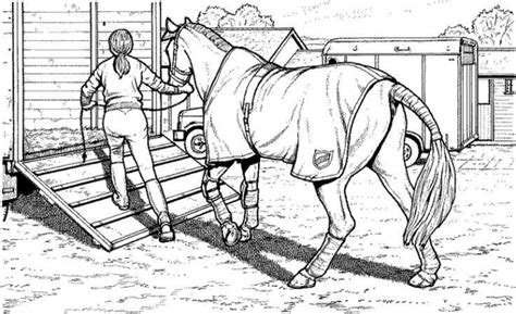 Herunterladet kostenlos pferde dressur teilt auf facebook twitter instagram co oder druckt zum ausmalenklicken sie auf als pdf datei herunt. Horse Trailer Coloring Pages - Free Printable Coloring Sheets