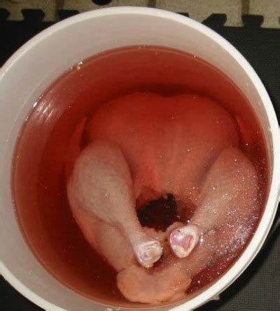 Maybe you would like to learn more about one of these? How to Brine Turkey Guidelines and Recipe, Whats Cooking ...