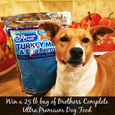 Lyka pet food is australia's freshest dog food, delivered. Rubicon Days: A Protein Variety with Brothers Complete ...