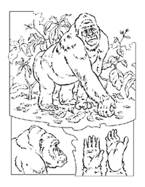 Printing the pdf of this animal coloring page will produce the best results. Gorilla Coloring Pages To Kids