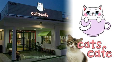 Check my link for more cat's cafe goodness. Kawasan Lynn Damya: Kafe Kucing Cats Cafe di JB