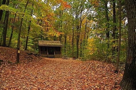 Search over 1 million properties and 550 airlines worldwide. jenny jump new jersey - Cabins! | Lovely Memories of ...