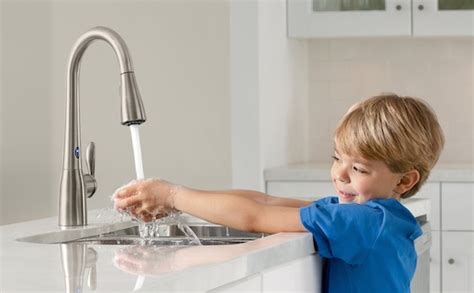 Remove the handles for the trend faucet. 5 Must-have Hands-free Kitchen Appliances - Techlicious