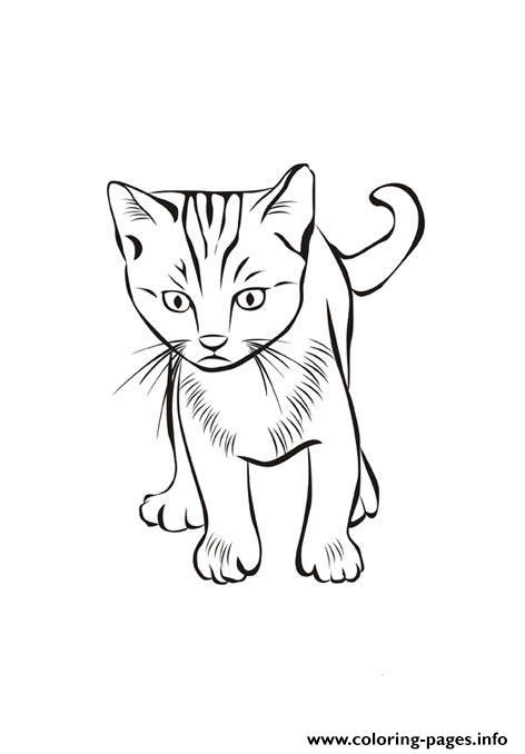 Online coloring pages for kids. Cat Free Animal Sfb58 Coloring Pages Printable