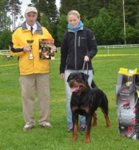 We believe that good nutrition is the key to raising healthy join fellow pet parents who love their pets as much as you love yours! Rottweiler Training & Dog Commands in Massachusetts ...