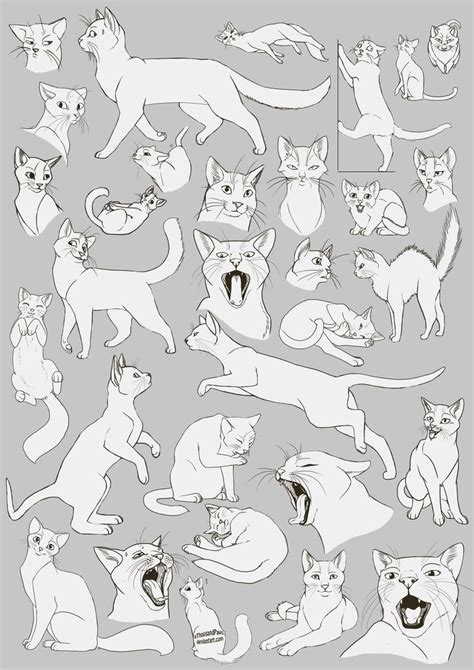 Drawing references and sketches for beginner artists part 4. Free Art: Cats Cats Cats! by aThousandPaws on deviantART ...