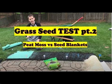 In general, turfgrass needs a ph level between 6.0 and 7.0. Grass Seeding Before and After - Seed Blankets vs Peat Moss PROOF | Grass Seed Test Pt 2 (LAWN ...