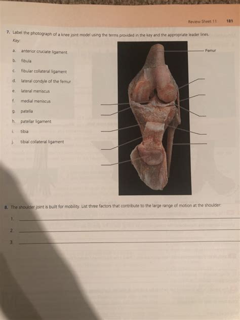 The type of movement that can be produced at a synovial joint is determined by its. Solved: Body Movements Name Lab Time/Date Fibrous, Cartila... | Chegg.com