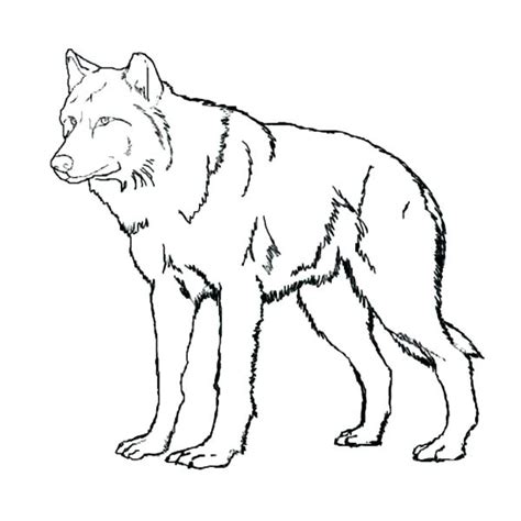 Realistic wolf pup coloring pages. Wolf Pup Coloring Pages at GetColorings.com | Free ...