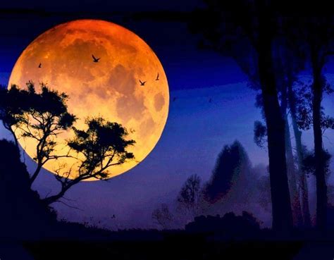 Search free moon wallpapers on zedge and personalize your phone to suit you. Beautiful Moon Clicks - Viral Rang