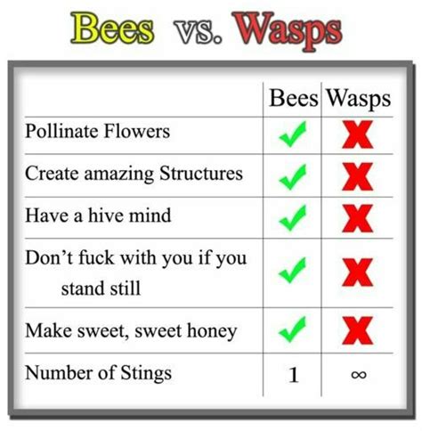 Human skin however is much more resilient. Haha wasps are evil | Bee, Bee do, Bumble bee nest