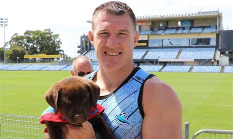 Matzoball and meatball (adam sandler) mocha (hugh jackman) Assistance Dogs Pup named after Paul Gallen | Australian ...