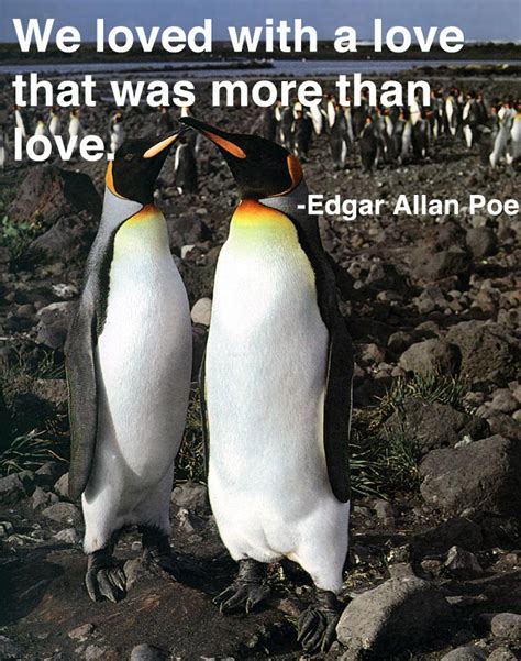 7 famous quotes about penguin love: Cute Penguin Love Quotes. QuotesGram
