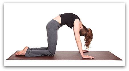 Cat/cow massages and stimulates organs in the belly, like the. #3 Yoga Pose of the Day - Cat-Cow | Yoga, Yoga poses, Poses