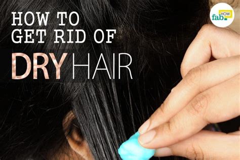 Leave on the hair for 10 minutes in a shower cap then rinse with warm water. 6 Homemade Treatments for Dry Hair | Dry frizzy hair, Dry ...