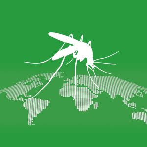 Ii.the day is initiated by the chinese pest control , and the confederation of european pest management associations(cepa). World Pest Awareness Day - International Pest Control ...