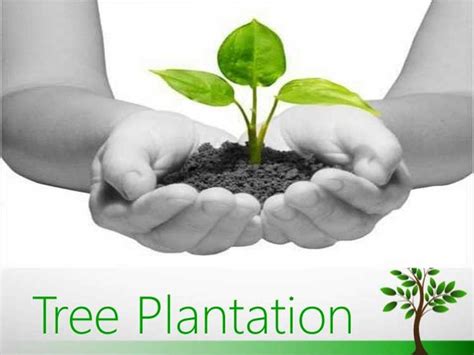 Without it,the existence of our life in the earth is not possible. Tree Plantation Paragraph & Essay for all class Students ...