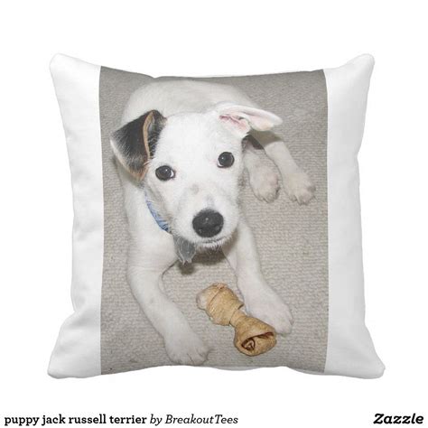 No longer do i have to throw my parties in international waters. puppy jack russell terrier throw pillow | Zazzle.com | Jack russell terrier, Jack russell, Puppies