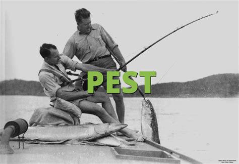 What do your customers love about your company or product(s)? PEST » What does PEST mean? » Slang.org