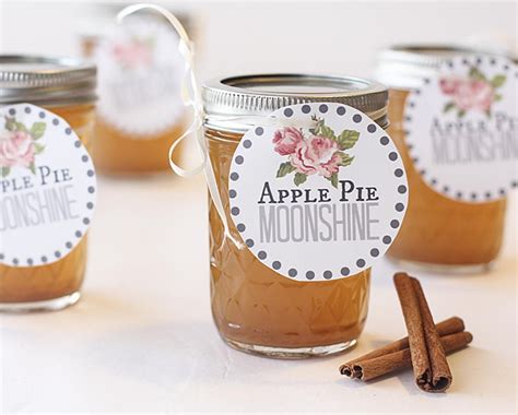 Instead of taking a sip and feeling like the alcohol is burning holes down your esophagus, the delicious mix of apple. This apple pie moonshine is made in the slow cooker and is ...