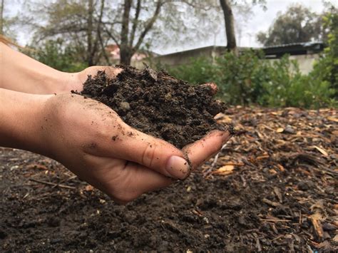 Back to nature cotton burr compost is truly nature's perfect soil conditioner. Tipos de abonos orgánicos para tener tierra fértil ...