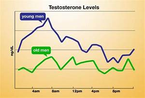 What Is A Normal Testosterone Level For Sexually Active Man Gll
