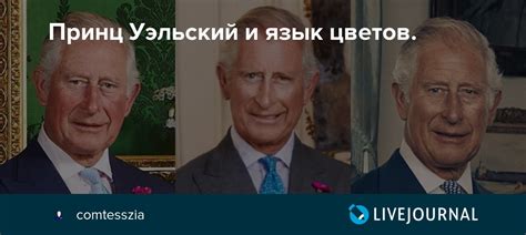 Язык валлийцев развился из языка британцы.17 возникновение валлийского языка не было мгновенным и. Принц Уэльский и язык цветов. : ru_royalty — LiveJournal