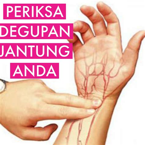 Dalam orang yang sihat, penunjuk ini mungkin berganda atau bahkan tiga kali ganda, yang hanya akan meningkatkan keberkesanan latihan. BAHAYA ke kalau kadar degupan jantung perlahan?💓