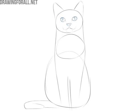 300 x 279 jpeg 13 кб. how to draw a cat sitting down step by step ...