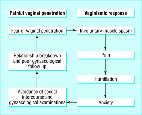 Female sexual problems II: sexual pain and sexual fears | The BMJ