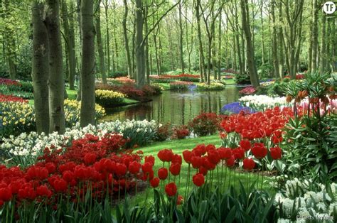 Écran —  ekrɑ̃  n. Les 15 plus beaux jardins du monde pour s'évader - Terrafemina