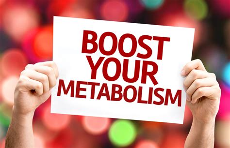 Untuk melakukan cara menurunkan berat badan ini adalah dengan memilih makanan yang mengandung 400 hingga 500 kalori di dalamnya untuk sarapanmu. Cara Meningkatkan Metabolisme Tubuh Untuk Turunkan Berat ...