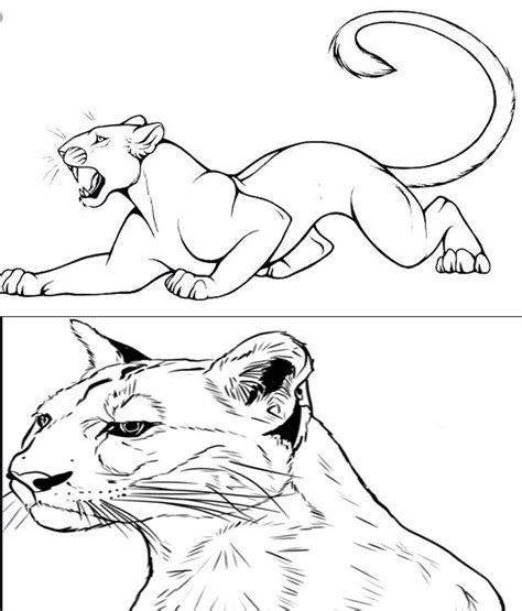 Regular suede upper and rubber outsole toe shape: Puma Coloring Pages - Coloring Home