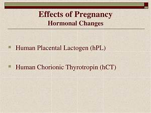Ppt Pregnancy And Human Development Powerpoint Presentation Free