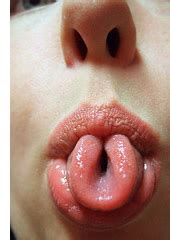 It may be very strong and feel like a piece of wire. Stuff by Cher: The tongue is the only tool that gets ...