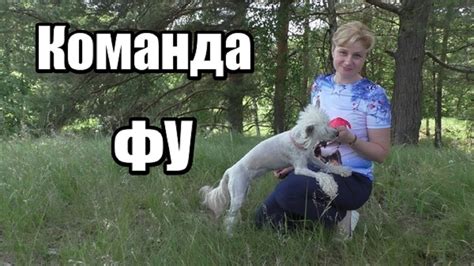 КОМАНДА "ФУ" Как научить собаку НЕ ПОДБИРАТЬ ЕДУ С ЗЕМЛИ/Дрессировка ...