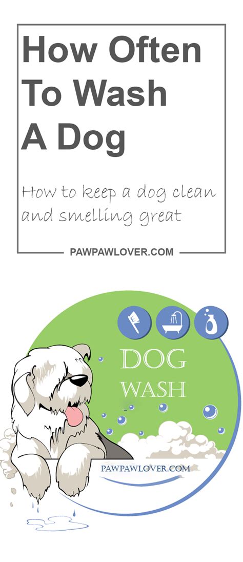 This is often located on the bottom of it's formulated to prevent hard water filming and keep the inside of your dishwasher looking fresh and. How Often To Wash A Dog - How to keep a dog clean and ...