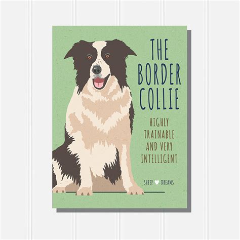 Deze border collie is een levensechte miniatuur. 'The Border Collie' Sign. - Pug & Puffin