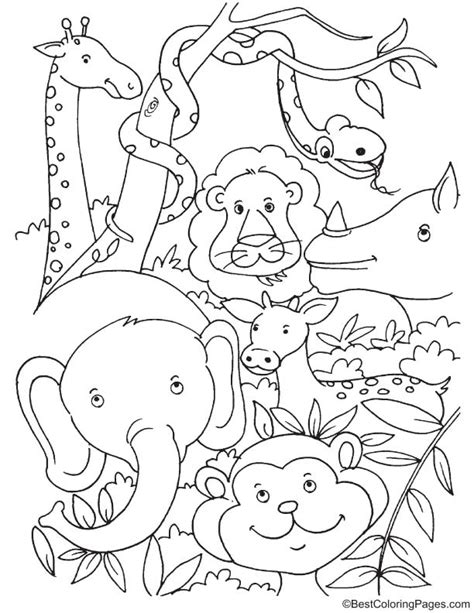Jungle animal coloring pages coloring page jungle animal coloring sheets pages safari home. Tropical rainforest animals coloring page | Download Free ...
