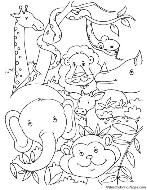 Animals that live in rainforests: Tropical rainforest animals coloring page | Download Free ...