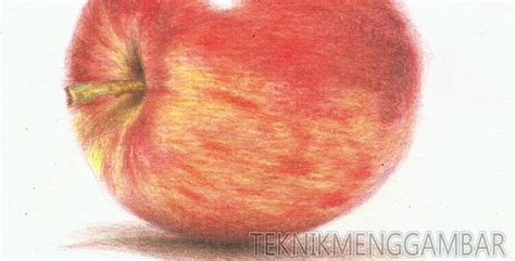Gambar sketsa apel merah paling bagus download now 4 cara untuk meng. Gambar Sketsa Buah Apel - Rajiman
