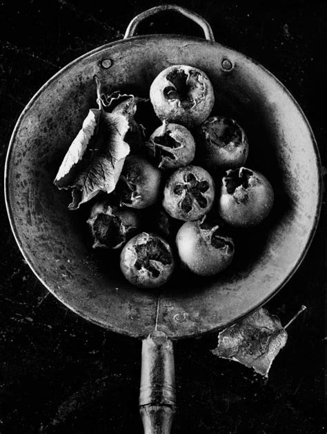 Check spelling or type a new query. Dark Kitchen: Uncivilising the Table - Resilience
