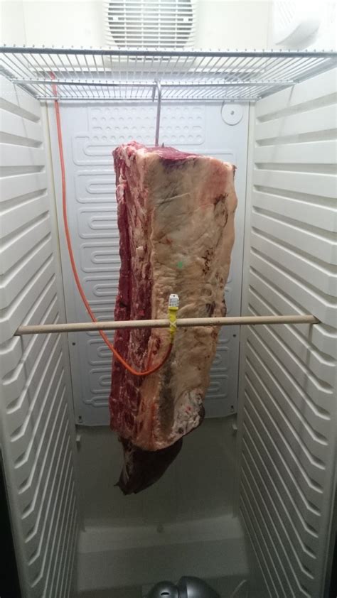 Er ist ins niedrige preissegment einzuordnen. Home made Dry Aged erster Versuch im Reifeschrank ...