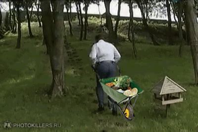 We did not find results for: Скачать прикольные и красивые картинки: Янукович и пеньки ...